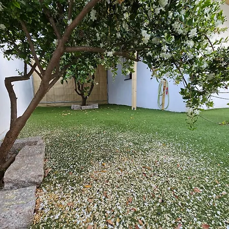 Guest house Tera *
